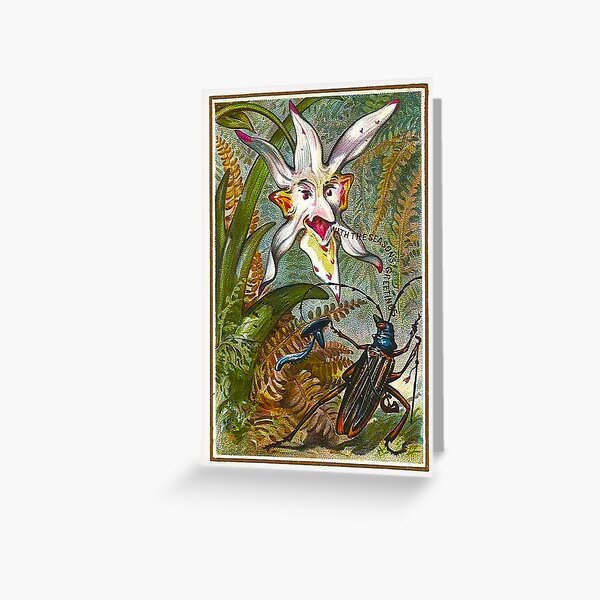 Victorian Christmas Beetle and Weird Flower Greeting Card