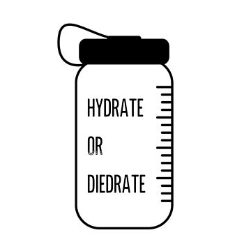 Hydrate or Dydrate 20 oz Tumbler