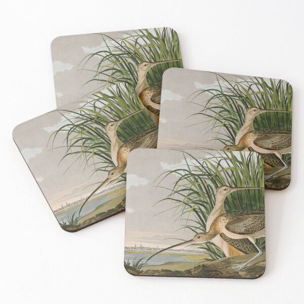 Item preview, Long-billed Curlew John James Audubon Birds of America designed and sold by Natural History Prints.