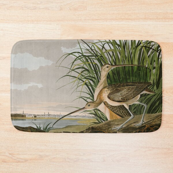 Item preview, Long-billed Curlew John James Audubon Birds of America designed and sold by Natural History Prints.