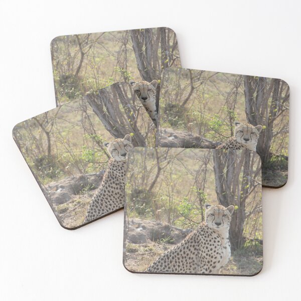 Item preview, South African Cheetah designed and sold by ourphotographs.