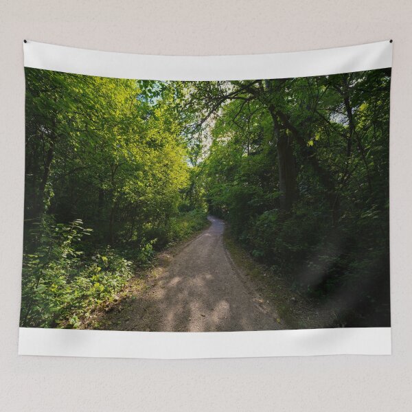 Item preview, "Those Winding Woodland Walks" designed and sold by RCNaturephotos.