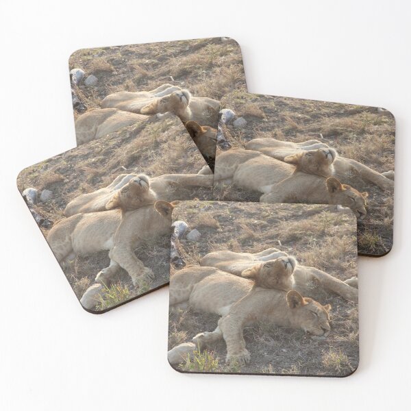 Item preview, South African Lion Cubs designed and sold by ourphotographs.