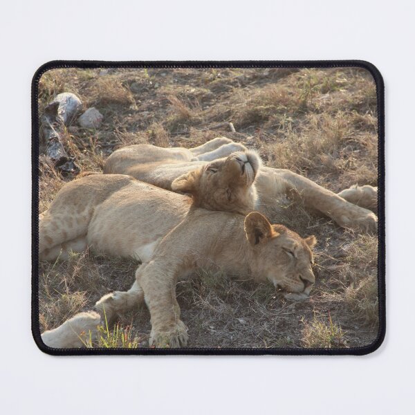 Item preview, South African Lion Cubs designed and sold by ourphotographs.