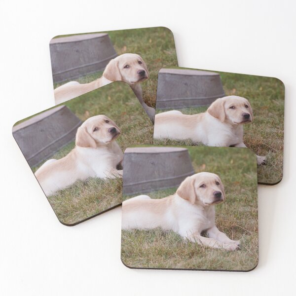 Item preview, Retriever puppy resting in the grass designed and sold by riku05830.