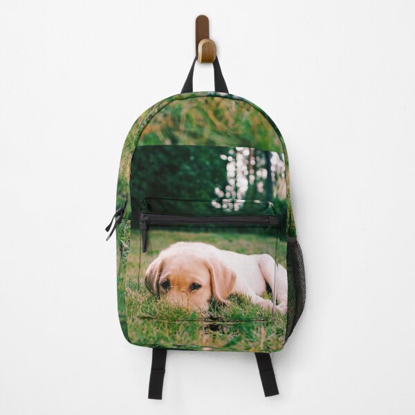 Item preview, Puppy dog laying in the grass looking at camera designed and sold by riku05830.