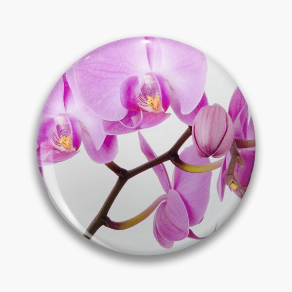 Item preview, Orchid designed and sold by lightmonger.