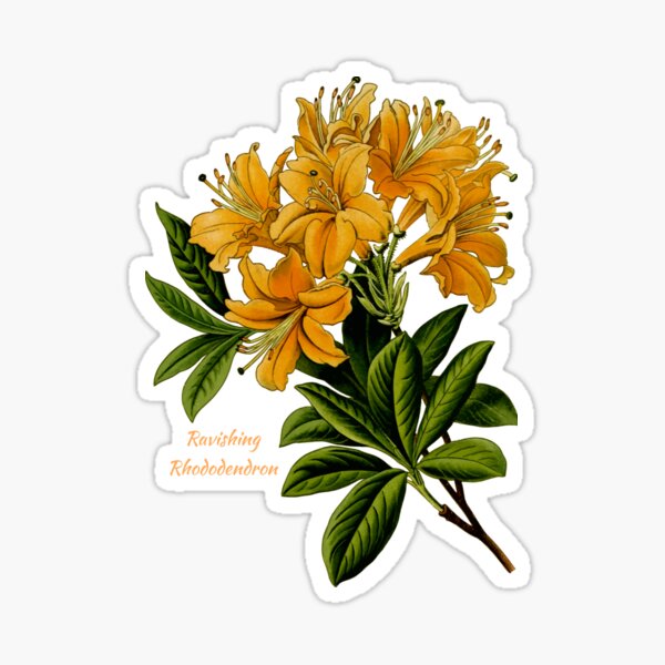Item preview, Ravishing Rhododendron  designed and sold by robpritchard.