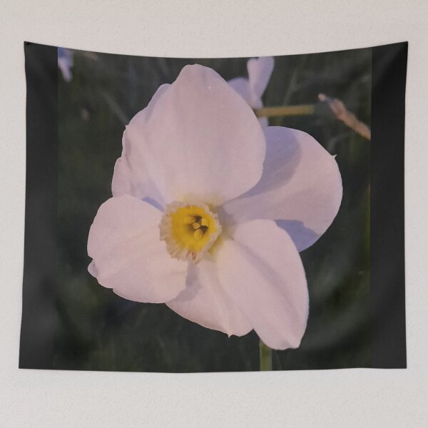 Item preview, Daffodil flower designed and sold by Pontom46.