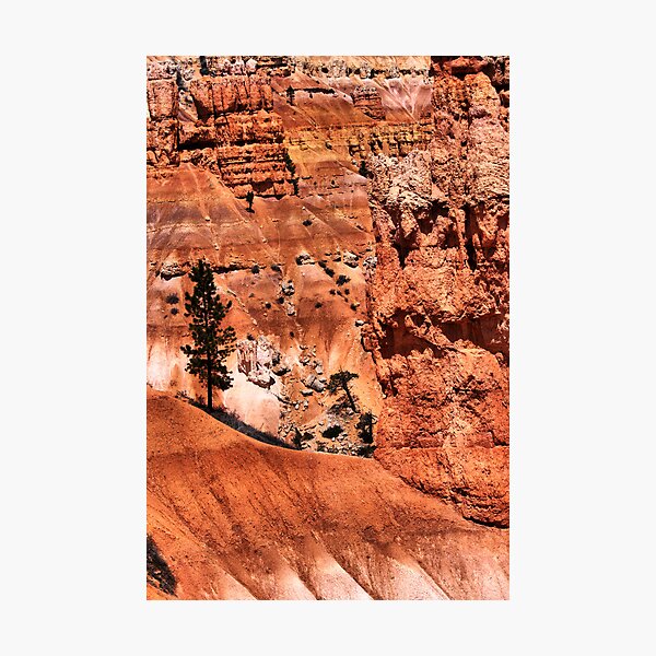 Item preview, Natural Selection designed and sold by Globalphotos.