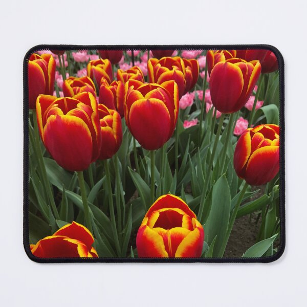 Item preview, Keukenhof Flowers designed and sold by Suezwaals.