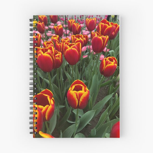 Item preview, Keukenhof Flowers designed and sold by Suezwaals.