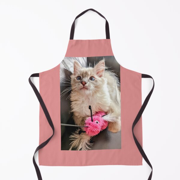 Item preview, Handsome ragdoll kitten designed and sold by Fluffycat2020.