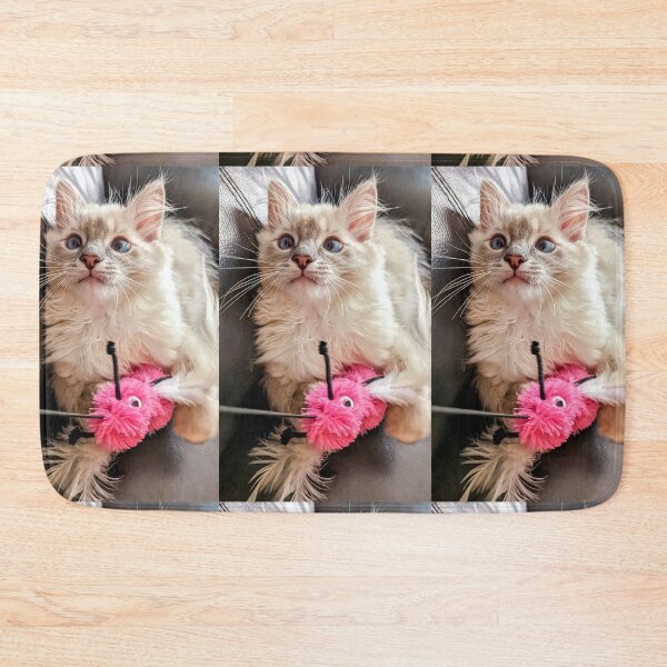 Item preview, Handsome ragdoll kitten designed and sold by Fluffycat2020.