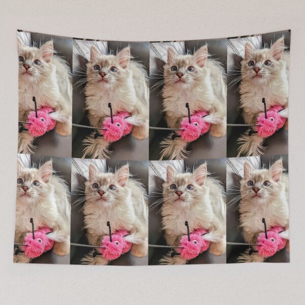 Item preview, Handsome ragdoll kitten designed and sold by Fluffycat2020.