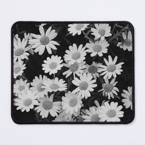 Item preview, Black and White Small Bush Daisies designed and sold by CarolinaReina.