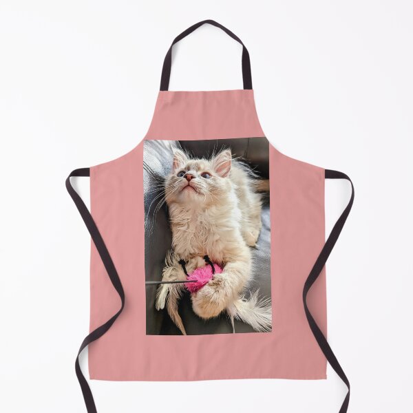 Item preview, Handsome ragdoll kitten designed and sold by Fluffycat2020.