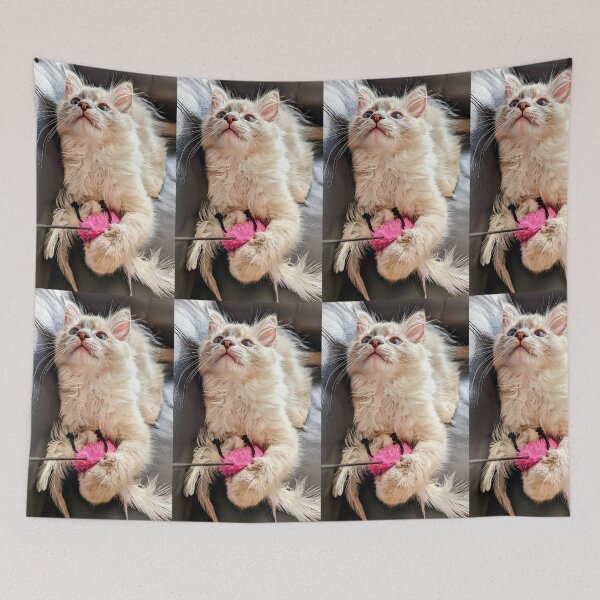 Item preview, Handsome ragdoll kitten designed and sold by Fluffycat2020.