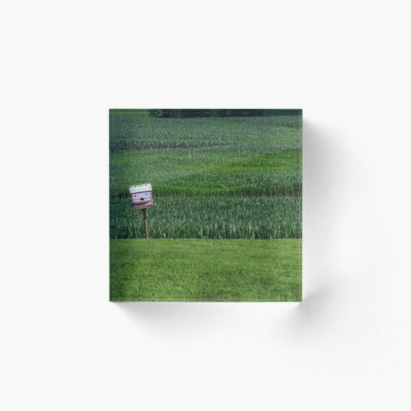 Bird House by Field Acrylic Block