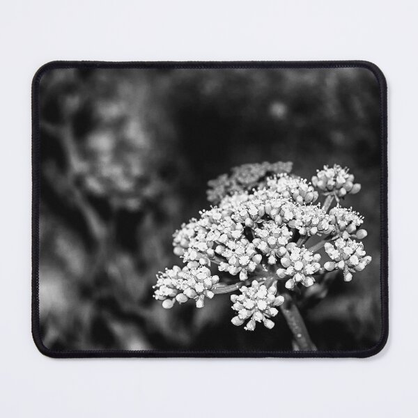 Item preview, Rock Sapphire B&W designed and sold by NunoPires.