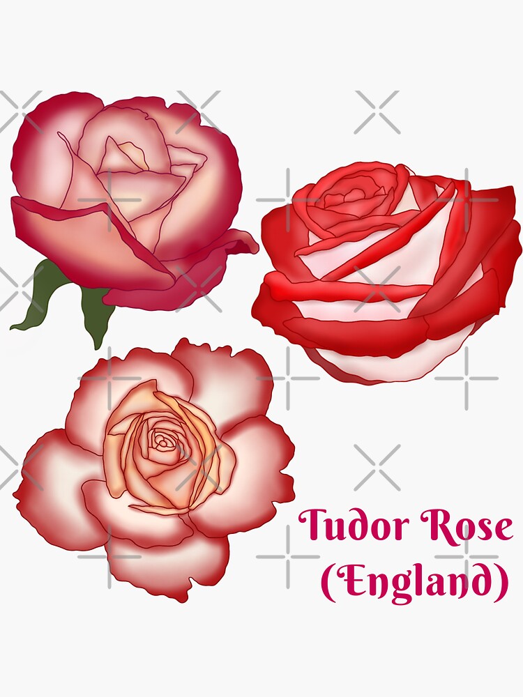"Tudor rosenational flower of England" Sticker for Sale by Floralfusion Redbubble