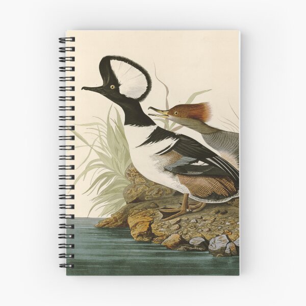 Item preview, Hooded Merganser - John James Audubon Birds of America designed and sold by Natural History Prints.