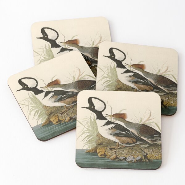 Item preview, Hooded Merganser - John James Audubon Birds of America designed and sold by Natural History Prints.