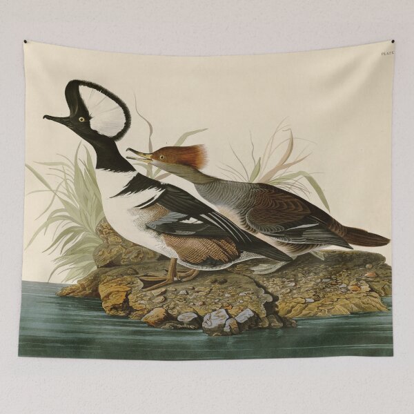 Item preview, Hooded Merganser - John James Audubon Birds of America designed and sold by Natural History Prints.