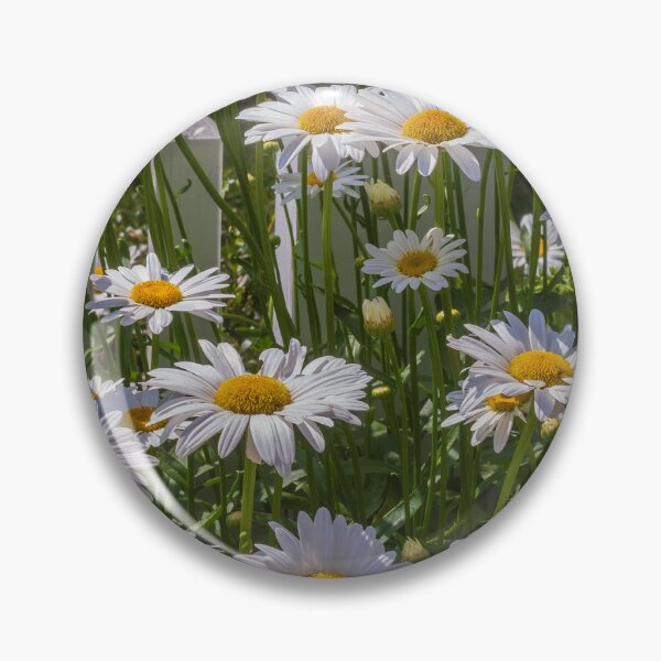 Item preview, Flowers in Boston designed and sold by Jake Waller.