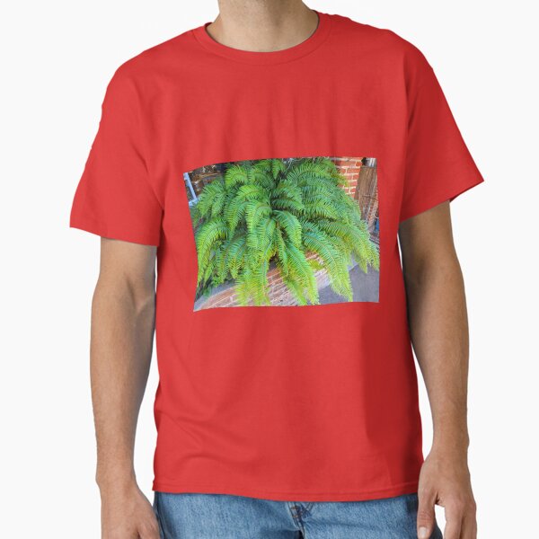 Item preview, Sword Fern Beauty designed and sold by IrishEyesMrsZ.