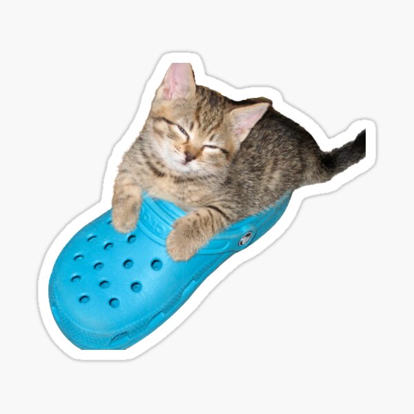 cat & dog crocs meme Sticker for Sale by Carina Jade