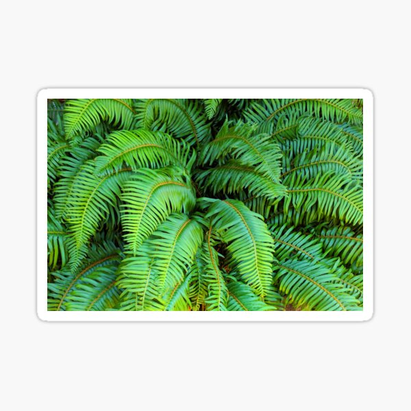 Item preview, Green Fern Leaves designed and sold by IrishEyesMrsZ.