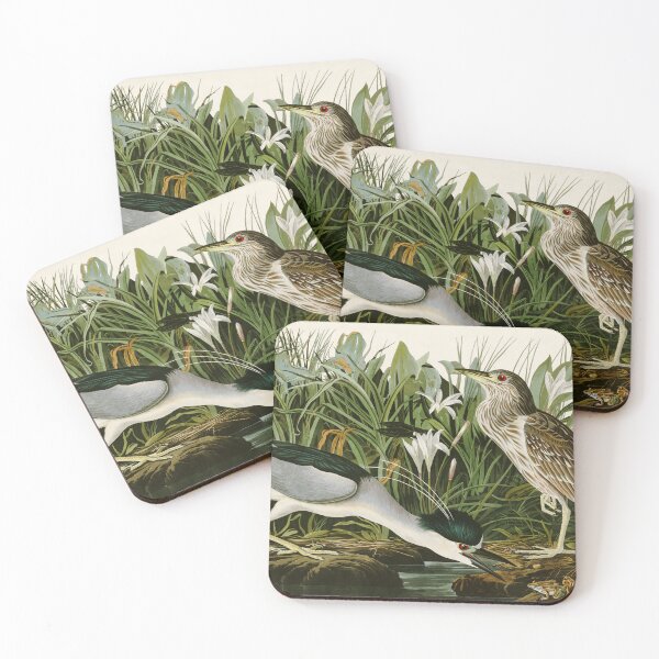 Item preview, Night Heron - John James Audubon Birds of America designed and sold by Natural History Prints.