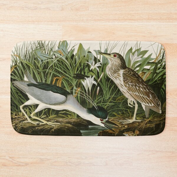 Item preview, Night Heron - John James Audubon Birds of America designed and sold by Natural History Prints.