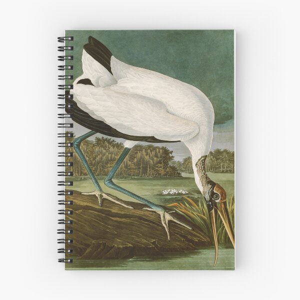 Item preview, Wood Ibis - John James Audubon Birds of America designed and sold by Natural History Prints.