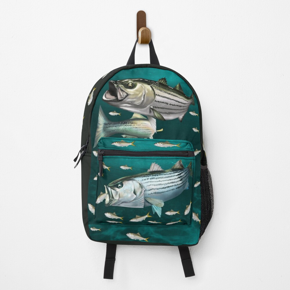 Discover Striped Bass (Rockfish) Striking a Menhaden | Backpack