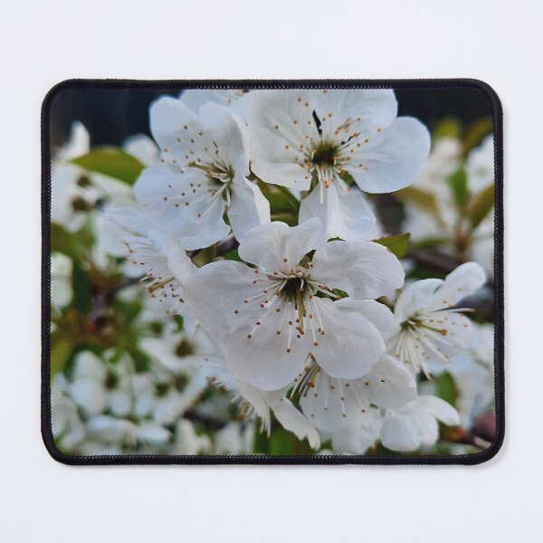 Item preview, Cherry  designed and sold by Pontom46.