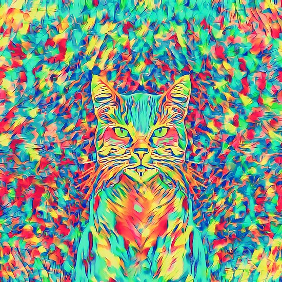 color-cat-blackhalt