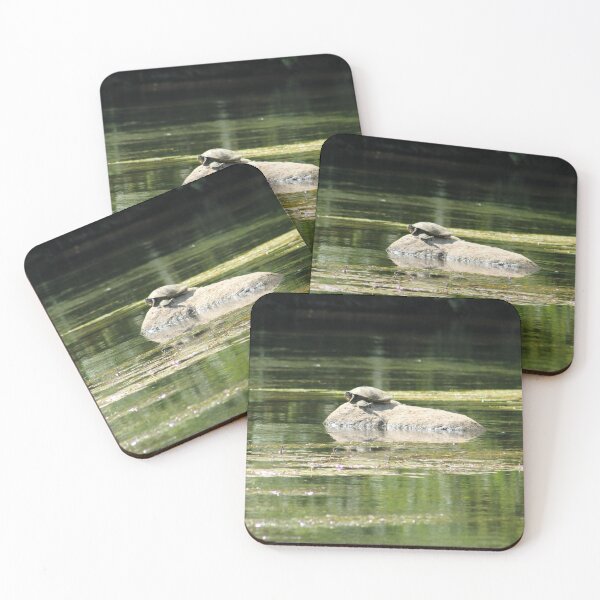 Item preview, Sun Bathing Turtles  designed and sold by Bsay89.