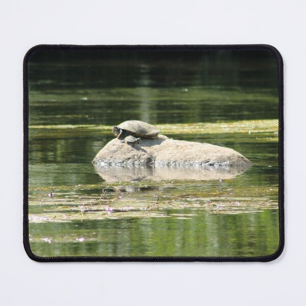 Item preview, Sun Bathing Turtles  designed and sold by Bsay89.