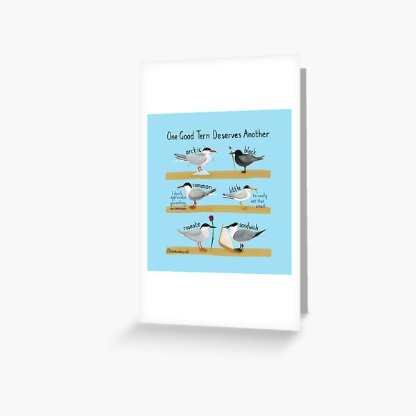 Item preview, One Good Tern designed and sold by Elliestrations.