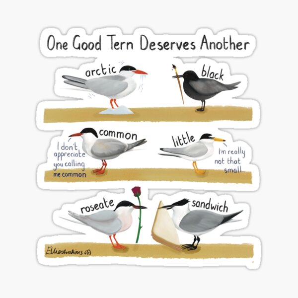 Item preview, One Good Tern designed and sold by Elliestrations.