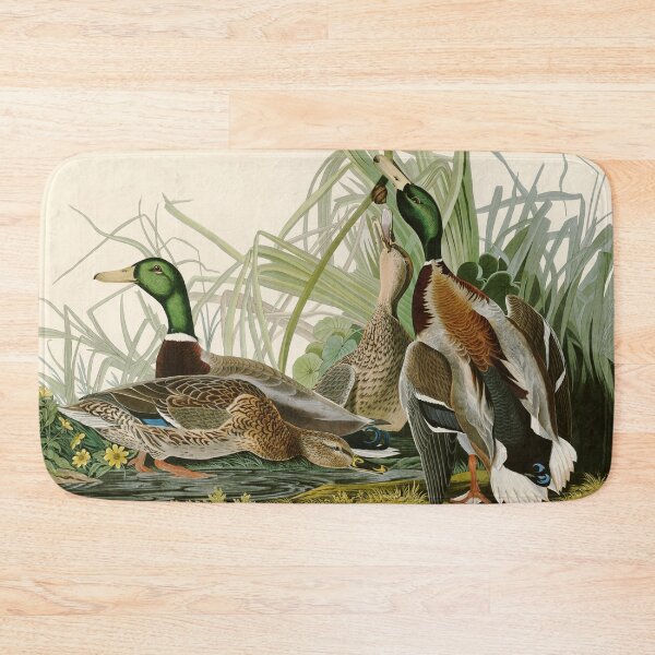 Item preview, Mallard Duck - John James Audubon Birds of America designed and sold by Natural History Prints.