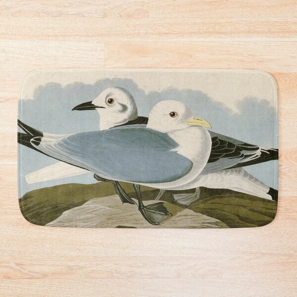 Item preview, Kittiwake Gull - John James Audubon Birds of America designed and sold by Natural History Prints.