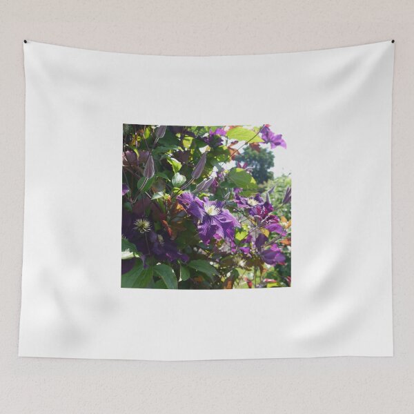 Item preview, Clematis Etoile Violette designed and sold by Goldfish20.