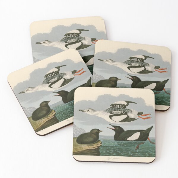 Item preview, Black Guillemot - John James Audubon Birds of America designed and sold by Natural History Prints.