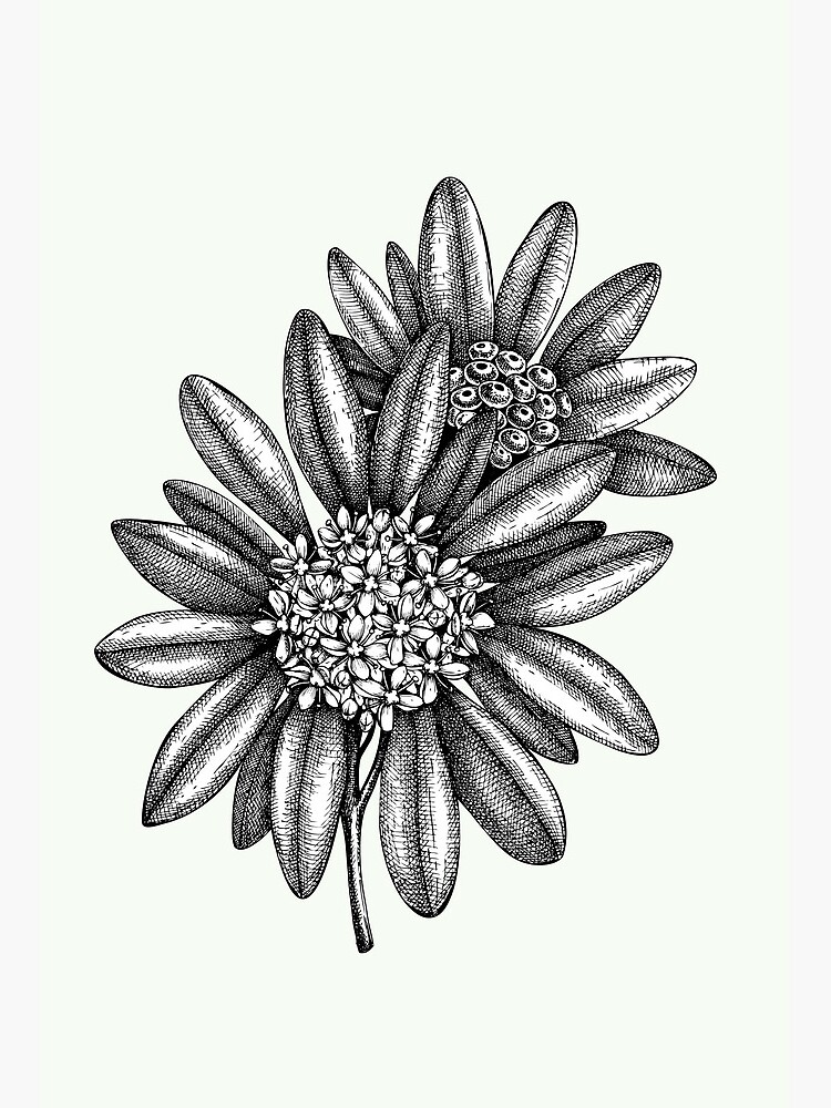 Easy way to draw a flower ... watch full tutorial on my YouTube channel  #reels #instareels #instagram #instadaily #art #drawing #flower... |  Instagram