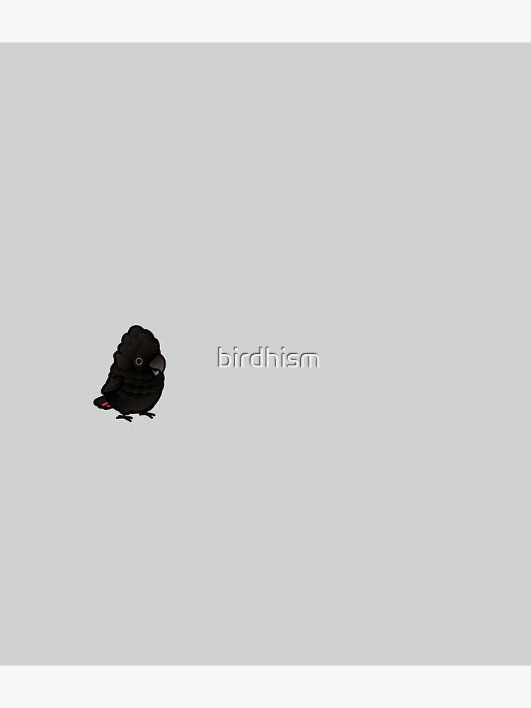 Chubby Red-tailed Black Cockatoo by birdhism
