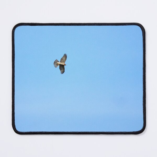 Item preview, Danger in the sky. Eurasian sparrowhawk designed and sold by Jouko Lehto Photography.