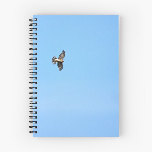 Item preview, Danger in the sky. Eurasian sparrowhawk designed and sold by Jouko Lehto Photography.